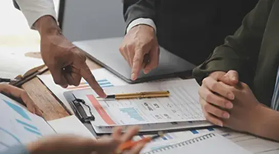 Business and company structure assessment