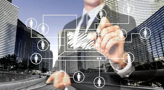 Company Structure & Registration Advisory