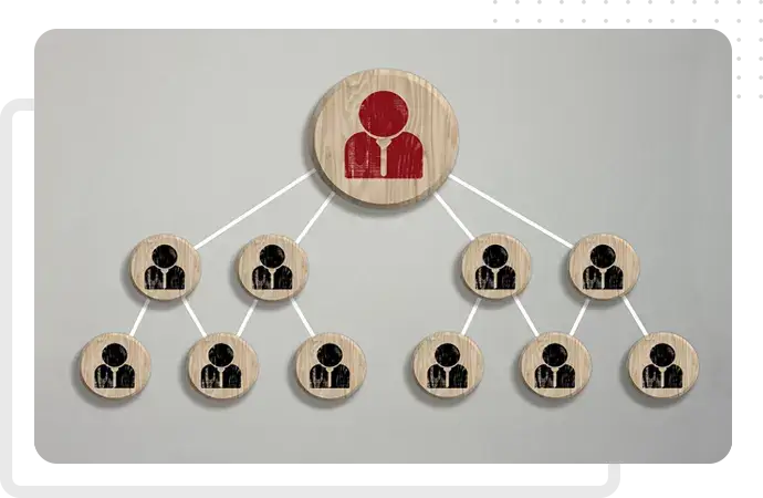 company structures and registration paths