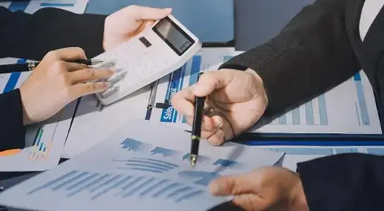 Financial Statement Audits
