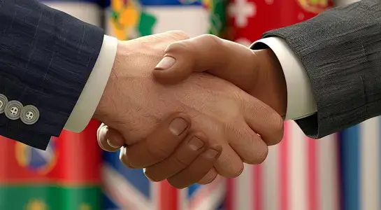 Foreign ownership and investor structure advisory