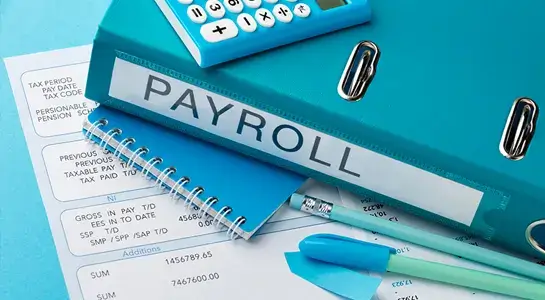Payroll and HR Control Review