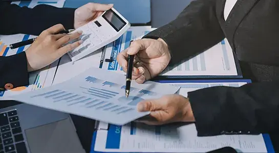 Private limited company audit
