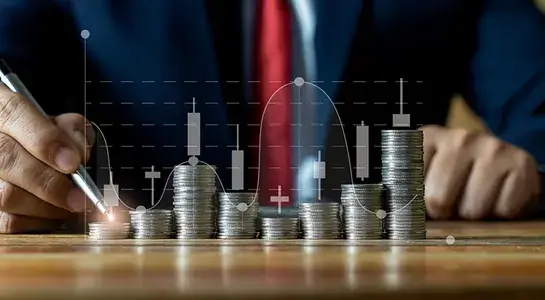 Shareholding and capital structure setup