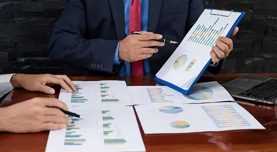 Statutory financial statement audit